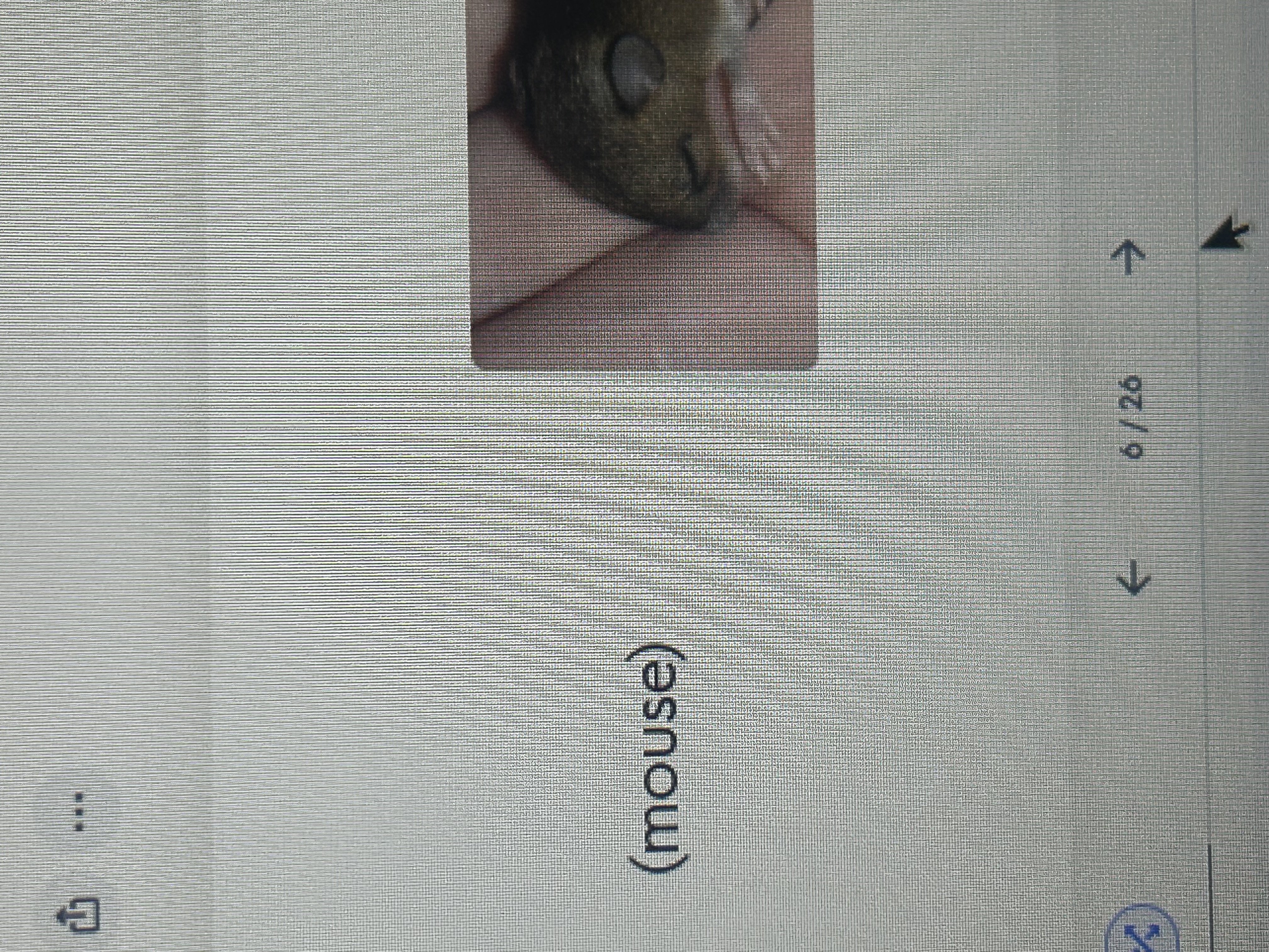 knowt flashcard image