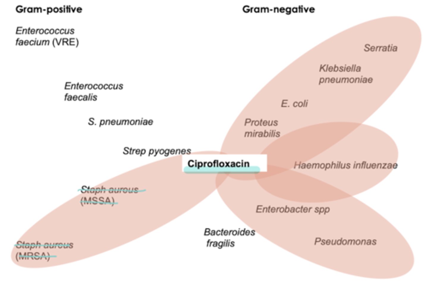 <p>- pseudomonas aeruginosa **best</p><p>- atypicals</p><p>- weak Strep pneumoniae coverage</p><p>- not usu used for Staph coverage </p>