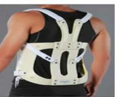 <p>Identify this orthosis</p>