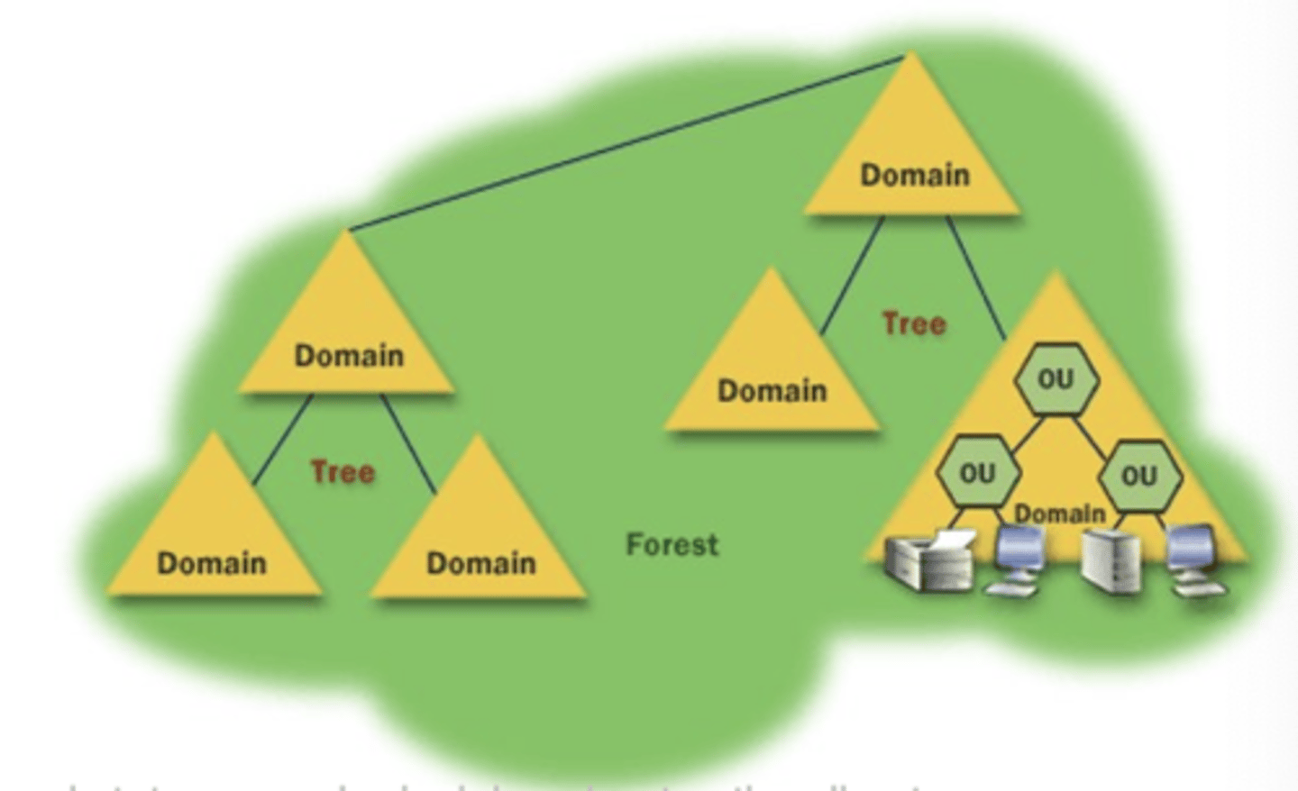 <p>1) Forest</p><p>2) Tree</p><p>3) Domain</p><p>4) Organizational Unit</p><p>5) Objects</p><p>*FS</p>