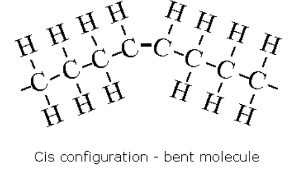 <p>same side (most common fatty acids)</p>