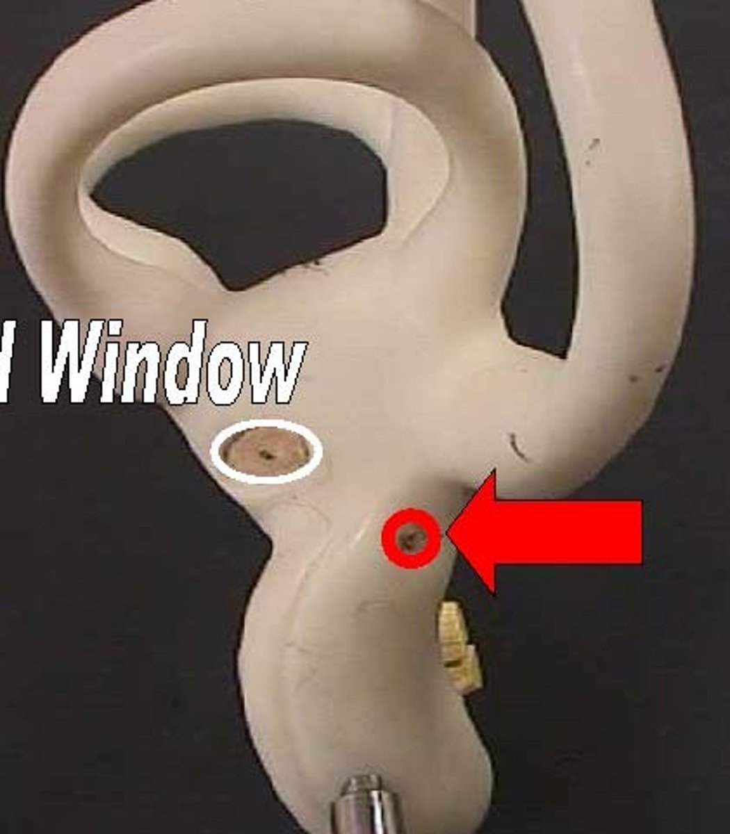 <p>The membrane that relieves pressure from the vibrating waves in the cochlear fluid.</p>