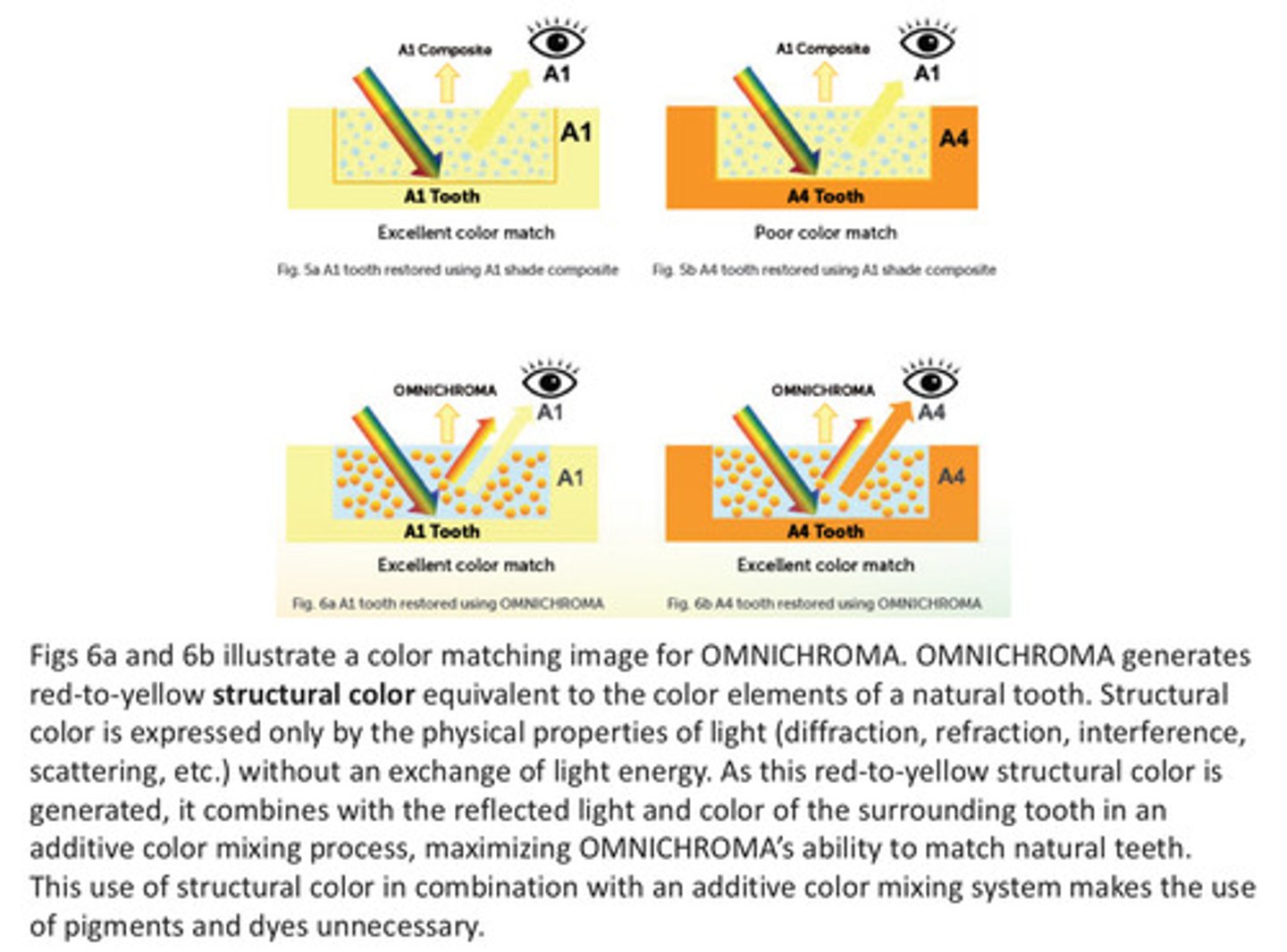 <p>omnichroma generates red to yellow structural color equivalent to the color elements of a natural tooth —&gt; this red to yellow structural color combines with reflected light and color of the surrounding tooth in an additive color mixing process, maximizing omnichroma's ability to match natural teeth</p>