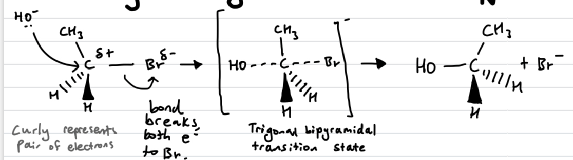 <p>if its chiral it inverts like an umbrella</p>