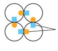 <p>formed by interactions between 2 nonidentical binding sites on each monomer</p>