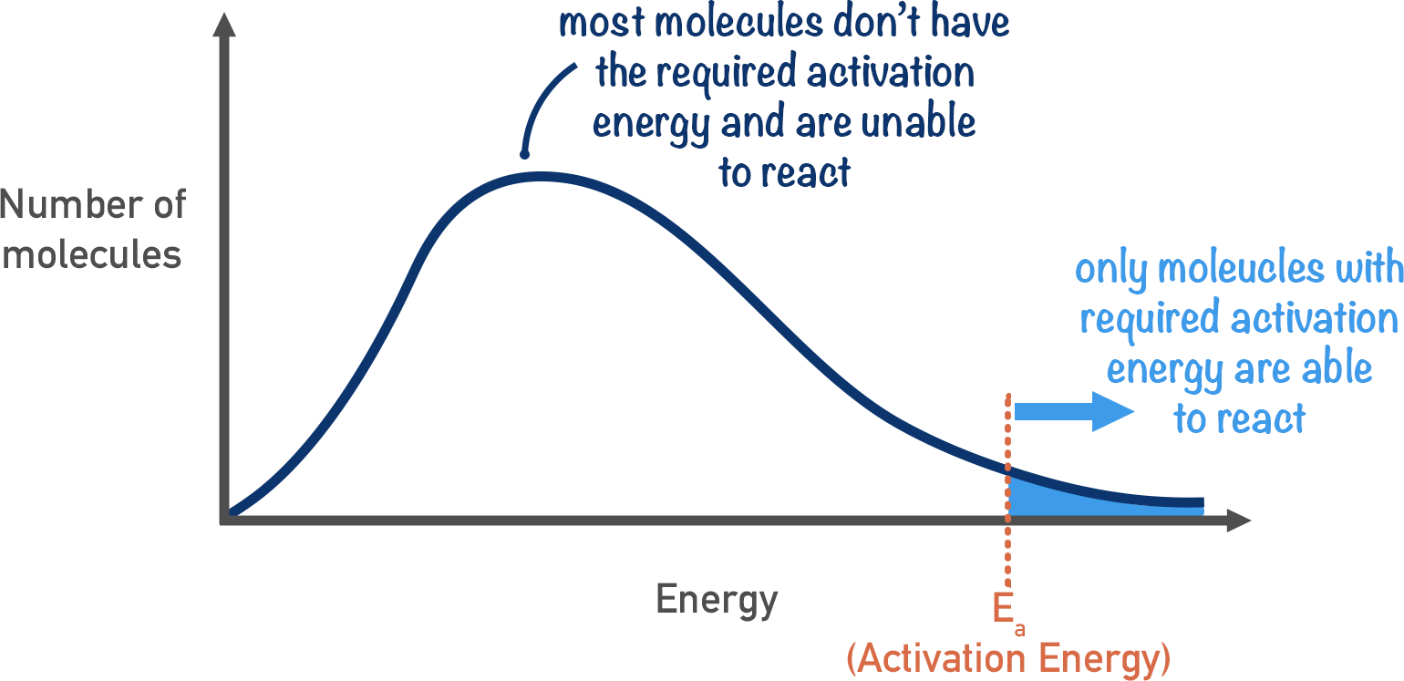 <p>-peak is most probably energy</p><p>-mean energy of molecules is greater than most probably energy</p><p>-area under curve = number of particles</p><p>-graph doesn't touch x-axis at the end as there's no maximum energy that a particle can have</p>