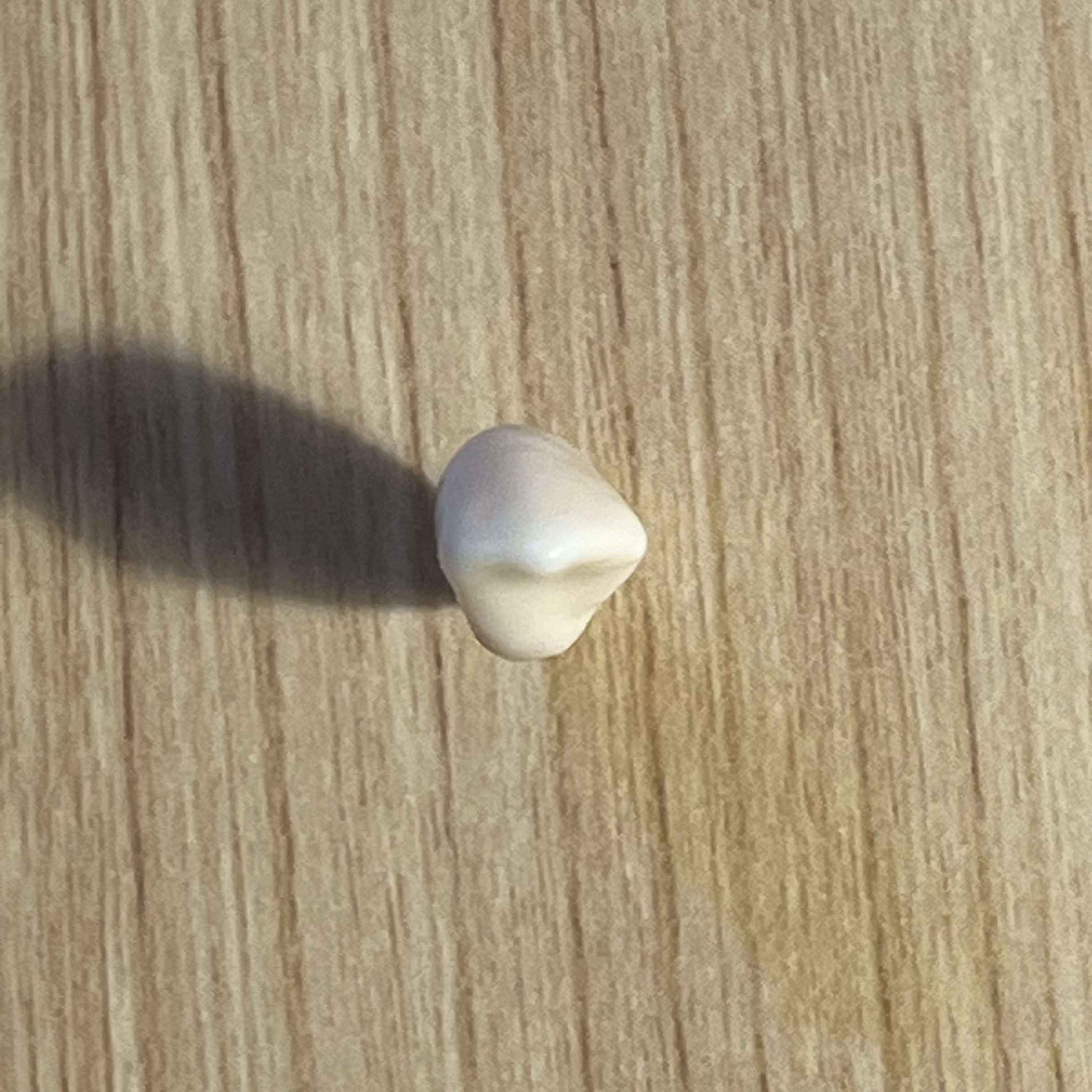 <p>What tooth is this (with view)?</p>