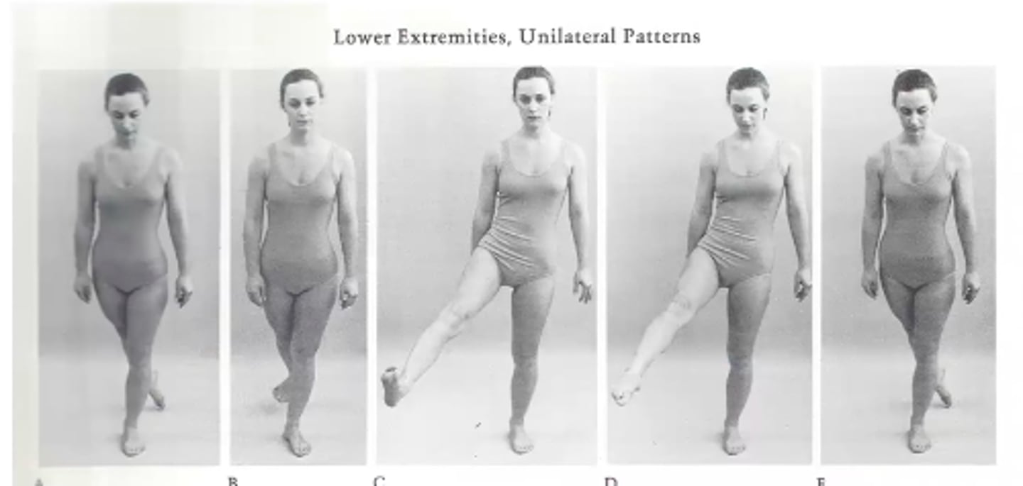 <p>Karate kick</p><p>Kick your leg up and out</p><p>Pull your leg down and behind</p>