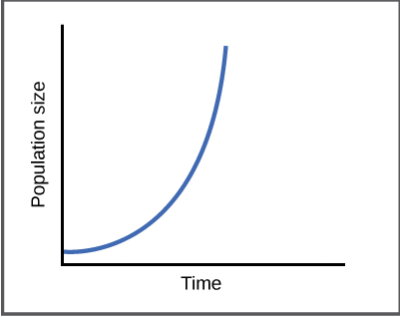 <p>what model of population growth does this graph illustrate?</p>