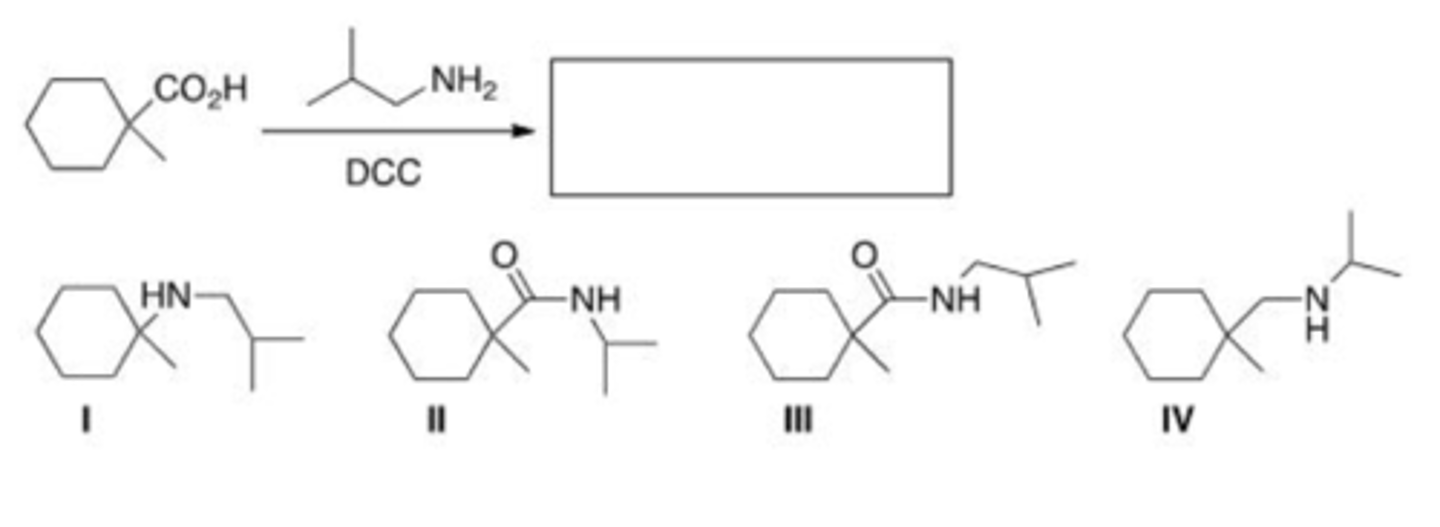 <p>C</p>