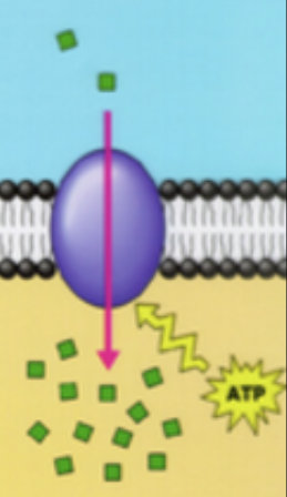 <p>what type of transport?</p>