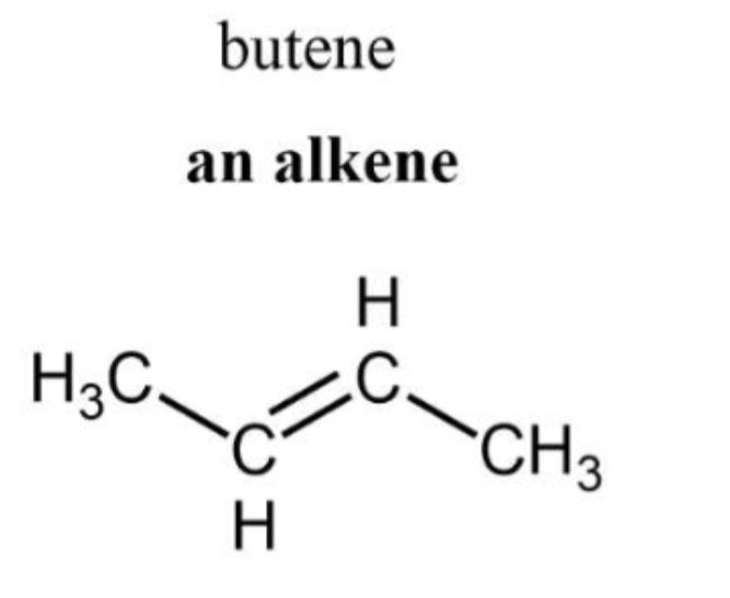 <ul><li><p>Contain at least a C-C double bond</p></li><li><p>ENE suffix and indicate position of double bond</p></li><li><p>general formula <span style="font-family: &quot;Times New Roman&quot;; font-size: 14.67px;">CnH2n</span></p></li></ul><p></p>