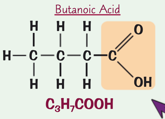 <p>structural formula: CH<sub>3</sub>CH<sub>2</sub>CH<sub>2</sub>COOH</p>