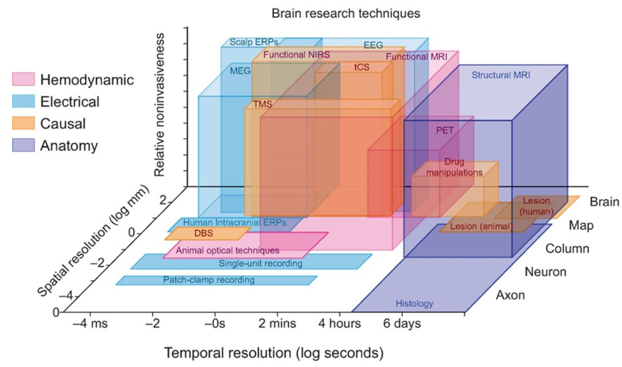 <ol><li><p>Spatial resolution (the more megapixels, the more you can zoom in; mm is better than cm).</p></li><li><p>Temporal resolution (time, how accurate can you image what is going on in the brain; higher resolution is higher timing).</p></li><li><p>Invasiveness (how far do you have to go into the brain in order to apply the technique; more invasive, the deeper you have to go).</p></li></ol><p></p><ol><li><p>Anatomical (static) → focus on structure of brain (snapshot).</p></li><li><p>Functional (dynamic) → determine function of brain region. </p></li></ol><p></p>