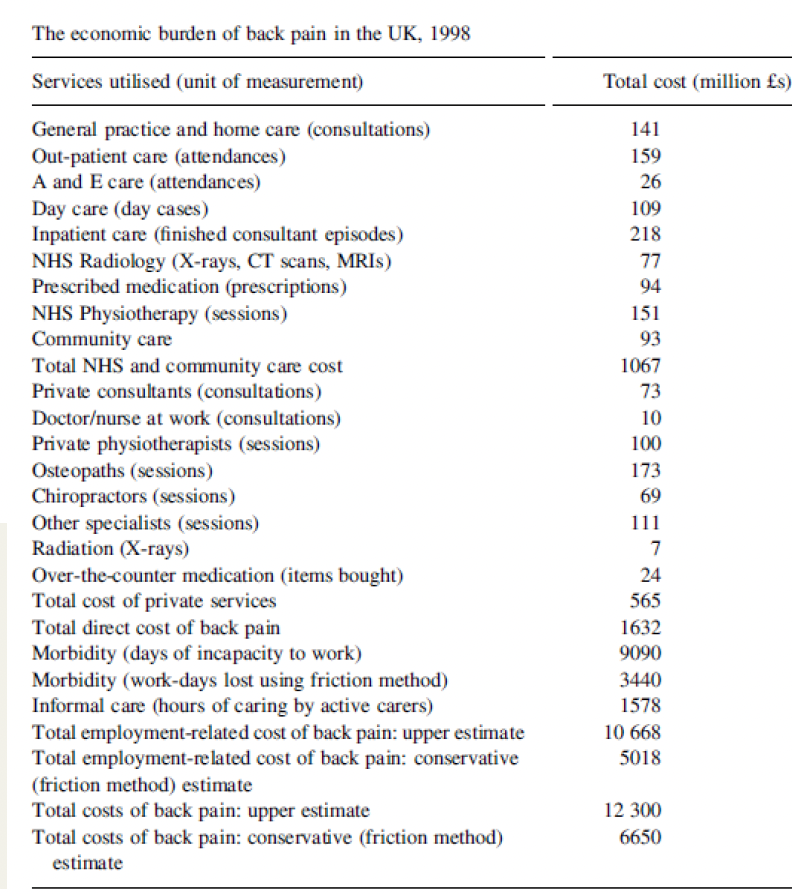 pain can have direct and indirect burden on the economy 