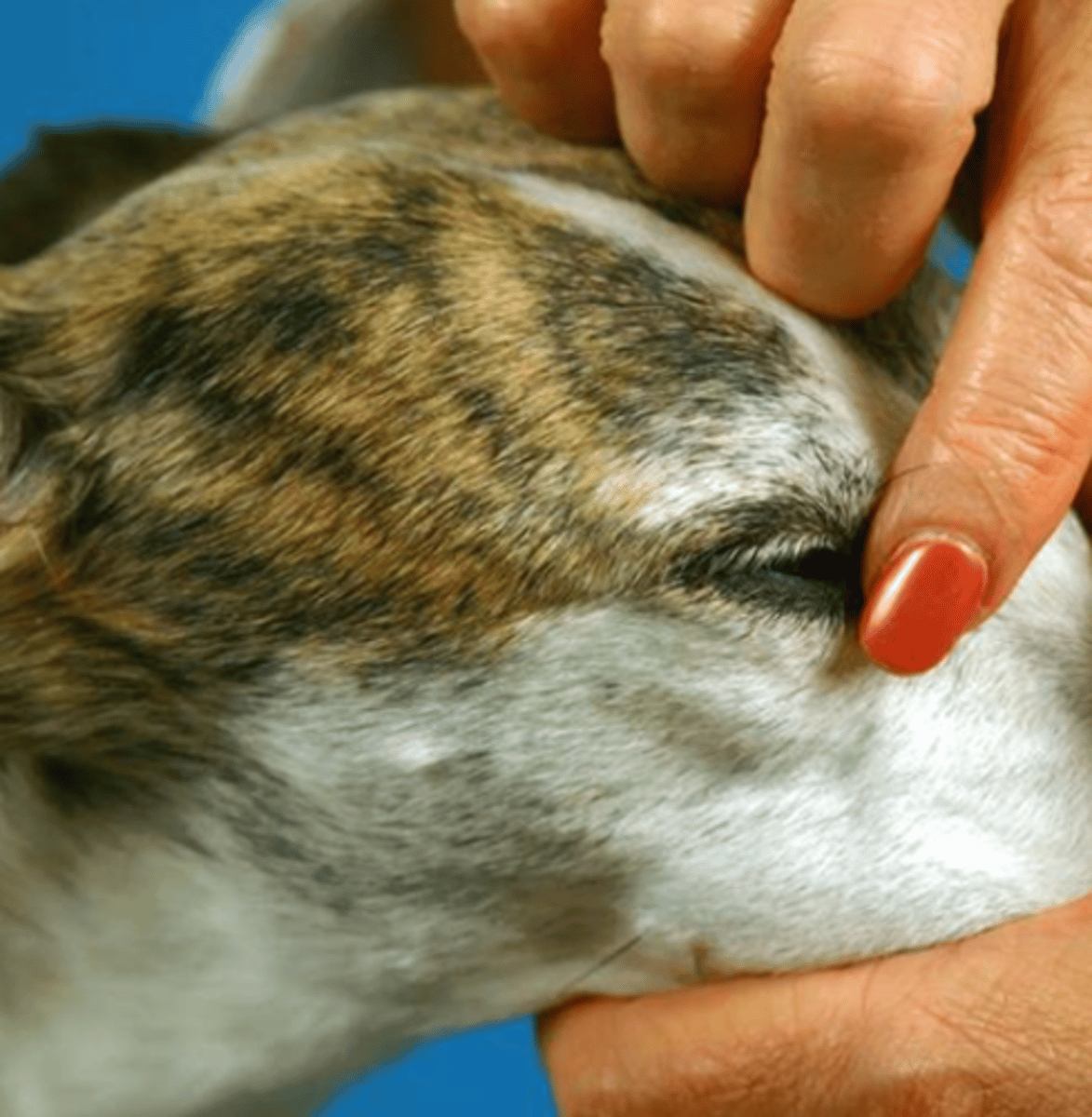 <p>what are we testing here?</p>