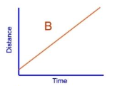 <p>What is the speed and gradient for this graph? </p><p>Name of graph? </p>