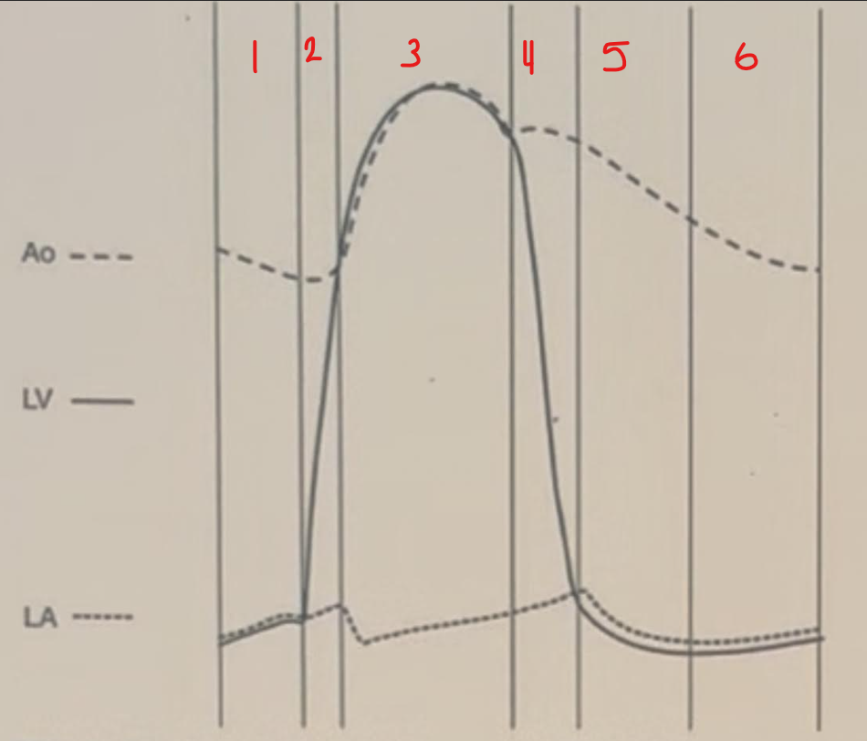 <p>Identify this image. </p>