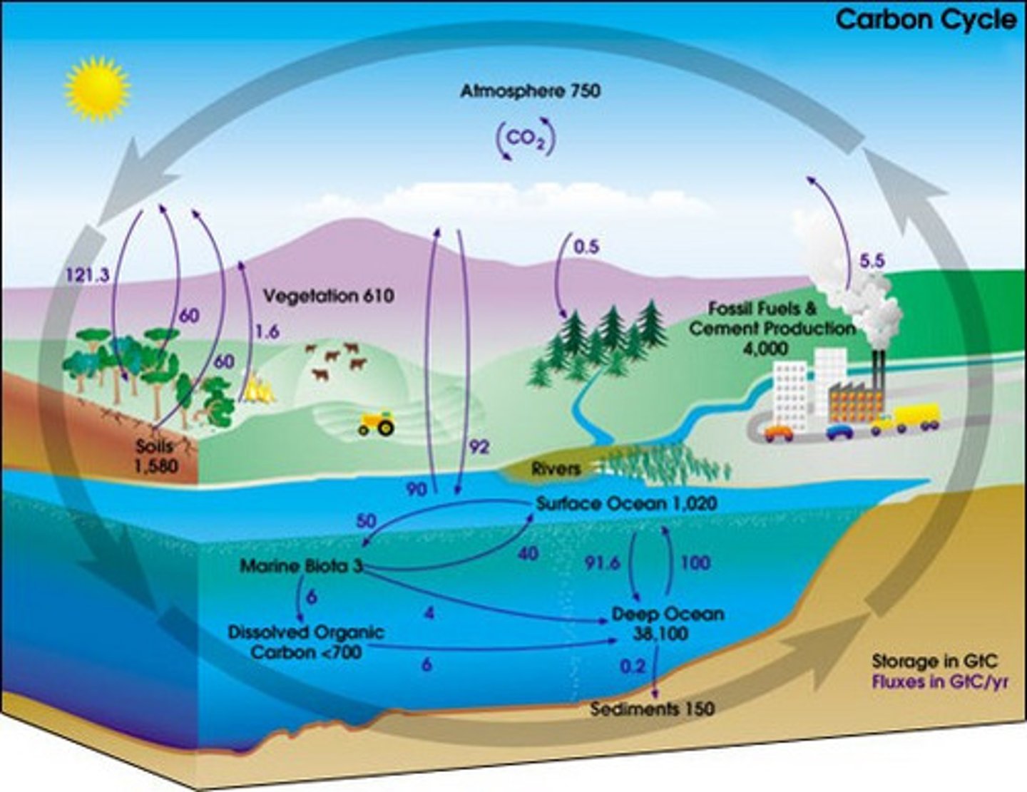 <p>-water cycle</p><p>-nitrogen cycle</p><p>-carbon cycle</p>