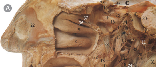 <p>What is 27</p>