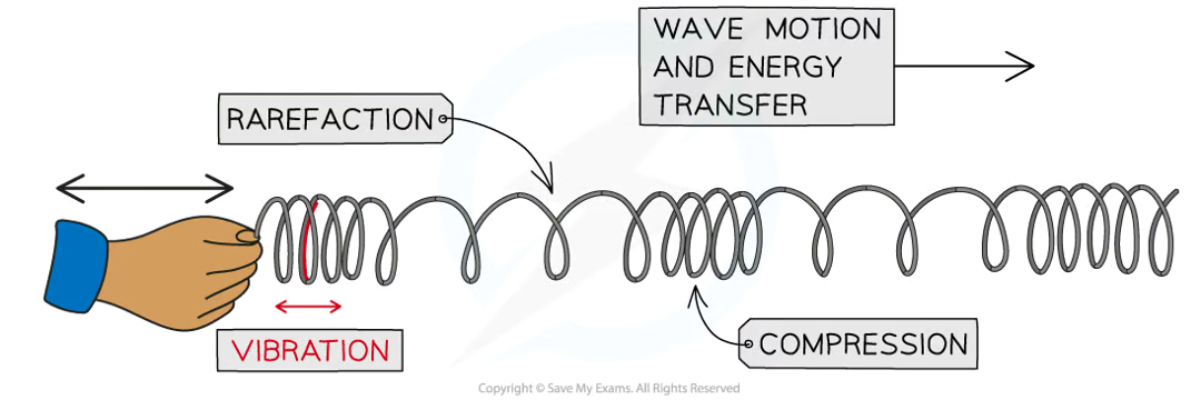 <p><strong>waves where the points along its length vibrate parallel to the direction of energy transfer</strong></p><p>energy transfer is in the same direction as wave motion. can move in solids, liquids & gases, but not in a vacuum (no particles)</p><p>points close together are <strong>compressions</strong>, points spaced apart are <strong>rarefactions</strong></p><p>examples of longitudinal waves:</p><ul><li><p>sound waves</p></li><li><p>p-waves (seismic wave)</p></li><li><p>pressure waves caused by repeated movements in a liquid / gas</p></li></ul><p></p>