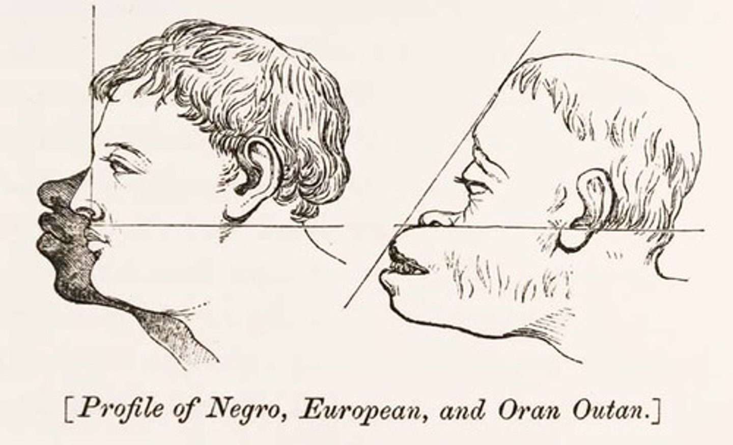 <p>prejudice or discrimination based on the belief that one's own race is superior</p>