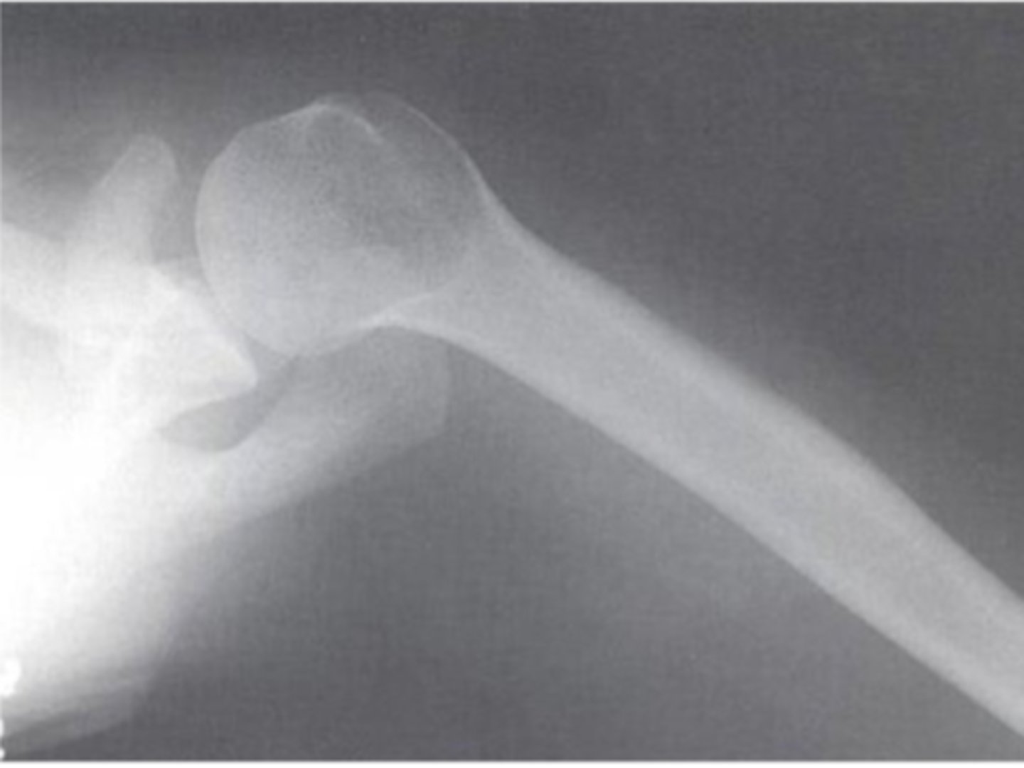 <p>What view does this show?</p>