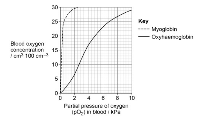 <p>Seals are diving mammals. They fill their lungs with air before they dive and hold their breath during the dive. </p><p>The graph shows the dissociation curves for seal oxyhaemoglobin and seal myoglobin. Myoglobin is an oxygen-carrying protein found in muscles.</p><p>Use information in the graph to explain how the seal’s myoglobin dissociation curve shows the seal is adapted for diving. (2) </p>
