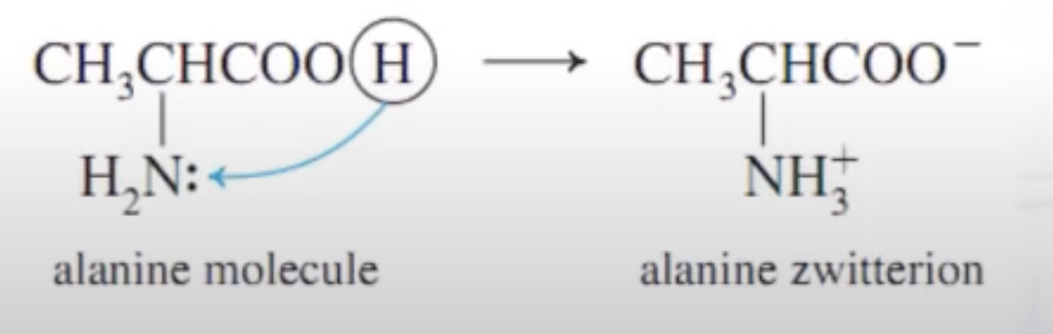 The pH at which there is no migrations of protons is called the isoelectric point (PI)