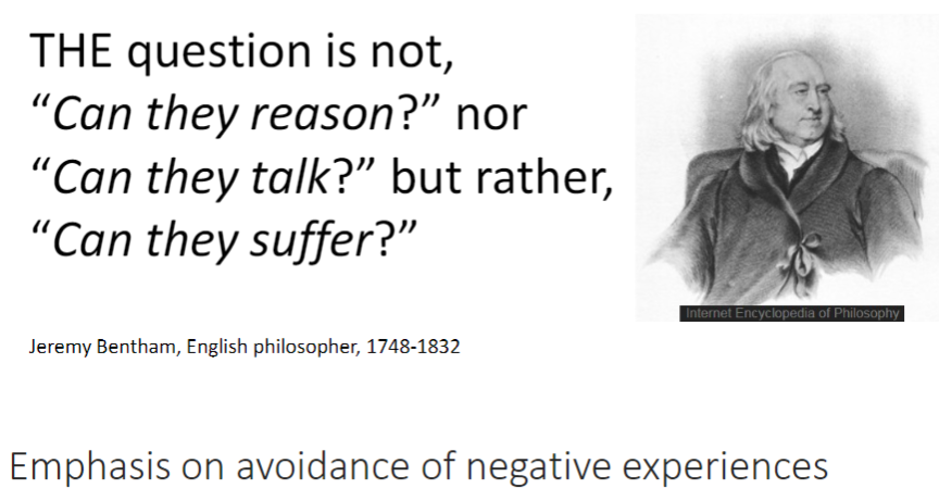 <p><strong>Quality of Life</strong><br> Focus on understanding what makes a <strong>good life</strong> for animals<br> Growing interest in <strong>positive experiences</strong> and <strong>well-being</strong></p><p><strong>Key Question (Bentham, 1748–1832)</strong><br> Not: “Can animals <strong>reason</strong>?” or “Can they <strong>talk</strong>?”<br> But: “Can they <strong>suffer</strong>?”<br> Emphasis on <strong>avoiding negative experiences</strong></p>