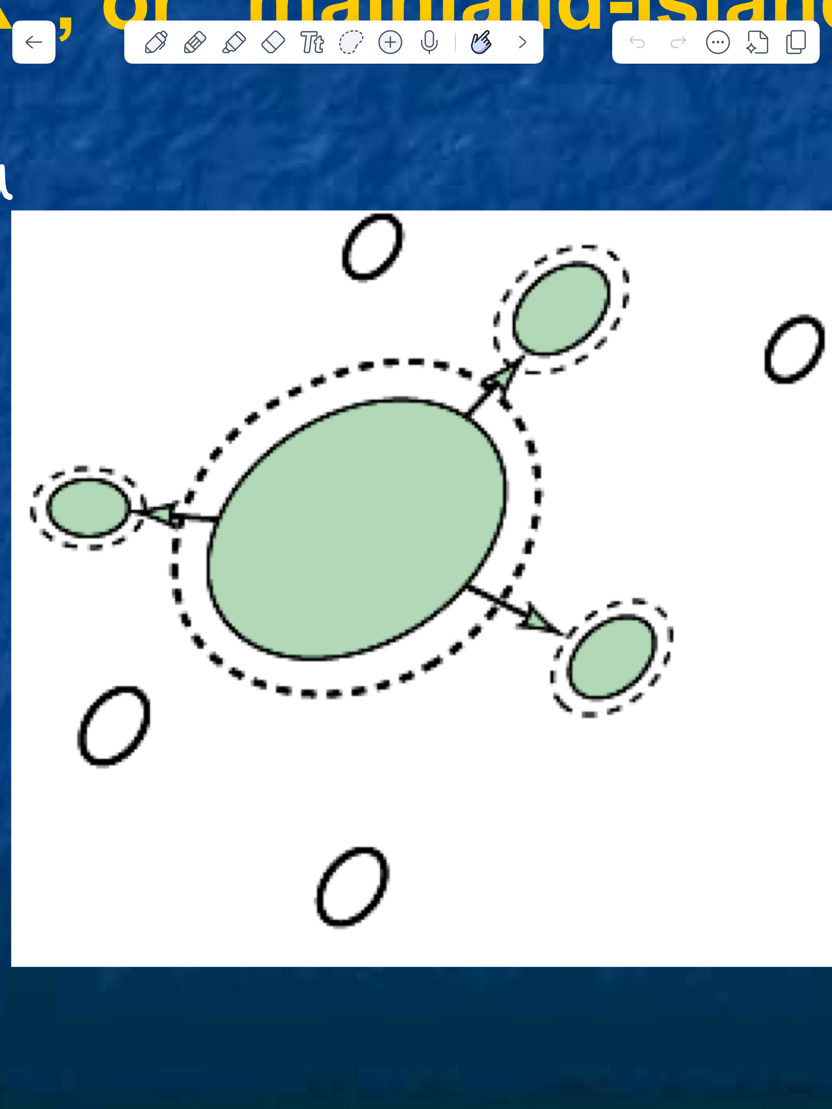 <p>name and describe this population model</p>