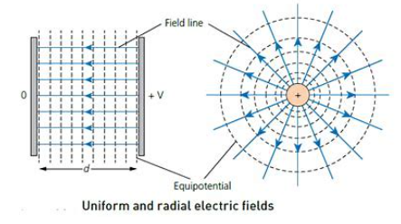 <p>Types of field lines</p>