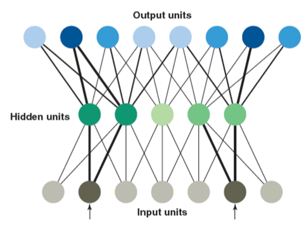 <p>units: circles</p><p>lines: connects units</p><p>weights: strength of connections</p>