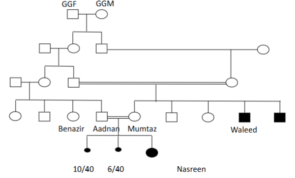 <p>The pedigree suggests what pattern of inheritance ?</p>