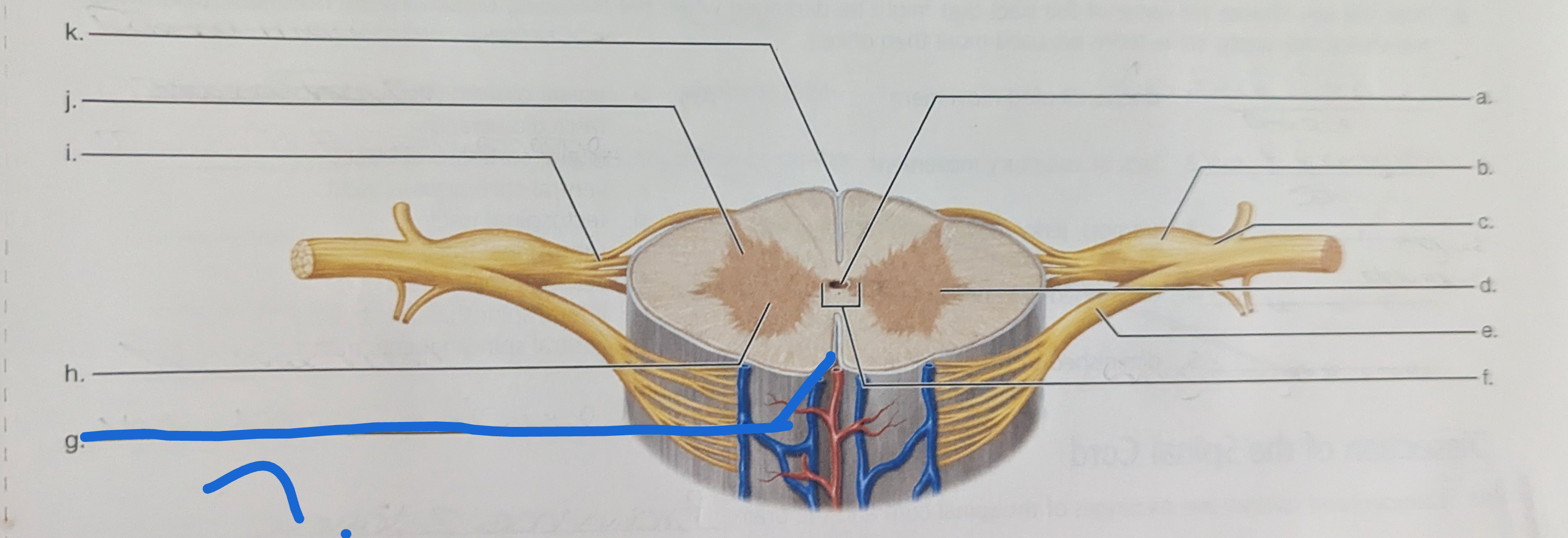 <p>What is the name of this?</p>