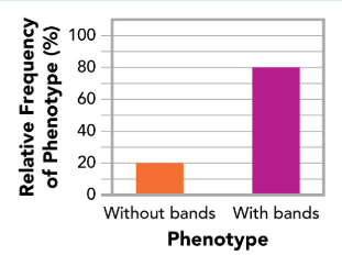 <p>This graph is displaying what kind of trait?</p>