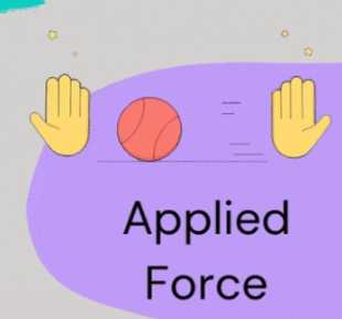 <p>A force applied to an object by another person or object. <span style="color: blue"><strong>Eg. Kicking a soccer ball</strong></span></p>