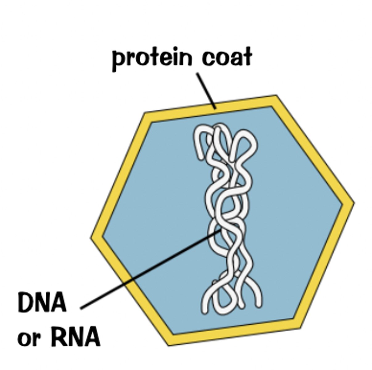 <p>diagram added</p>