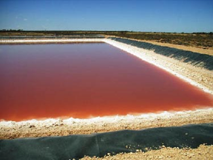 <p>Describe how valuing environmental damage can be easy:</p>