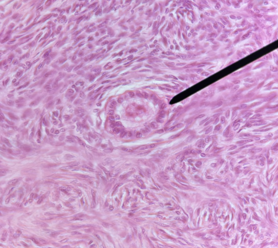 <p>What is this whole thing?</p>