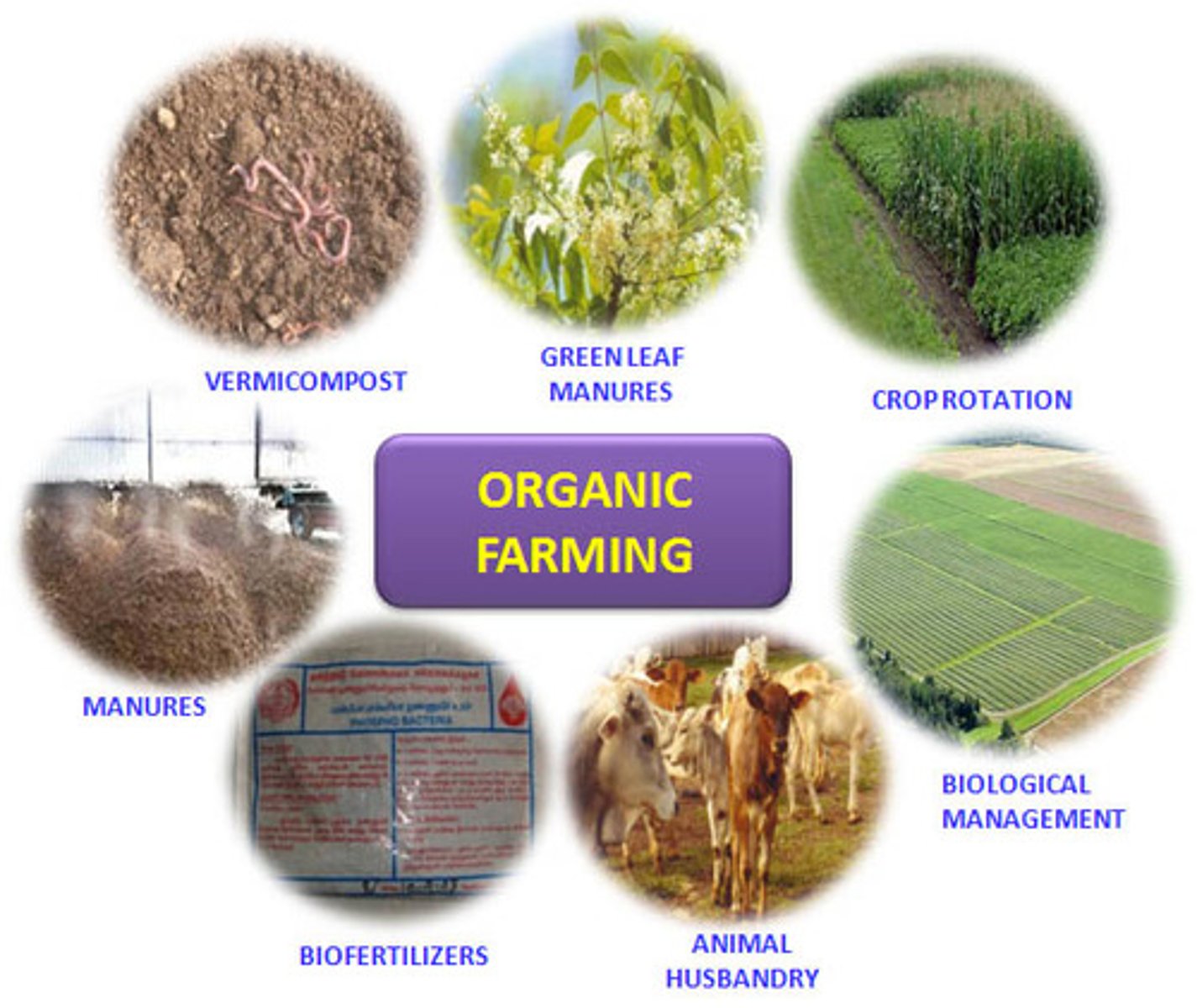 <p>ecologically based pest controls and biological fertilizers</p>