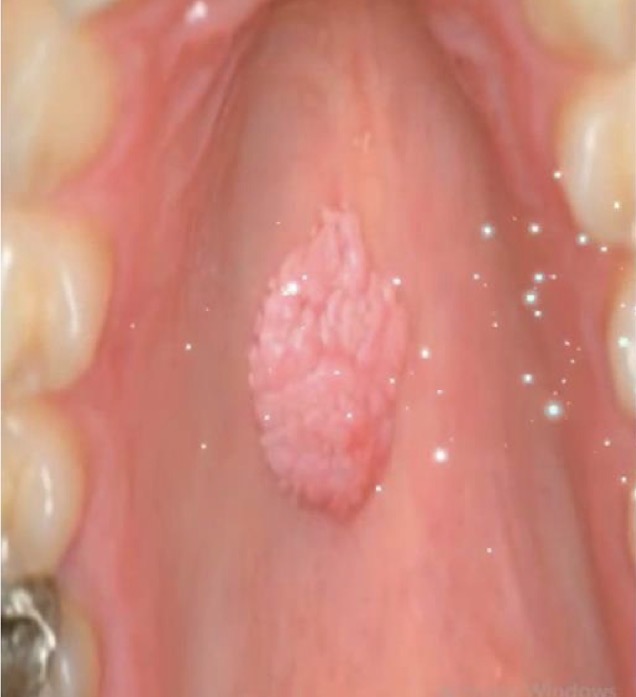 <p>A- identify </p><p>B- describe </p><p>C- originate from ? </p><p></p>