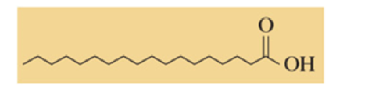 <ul><li><p>long unbranched carbon chains with a carboxylic acid group at the end</p></li></ul>