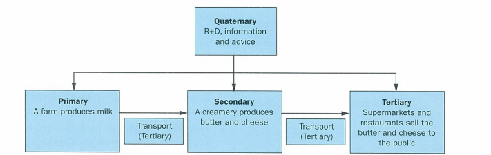 <p>production chain/chain of production which makes it clear why diff sectors of employment have their names</p>