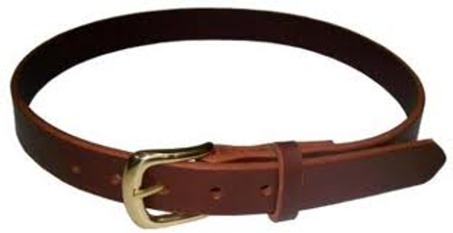 <p>belt</p>