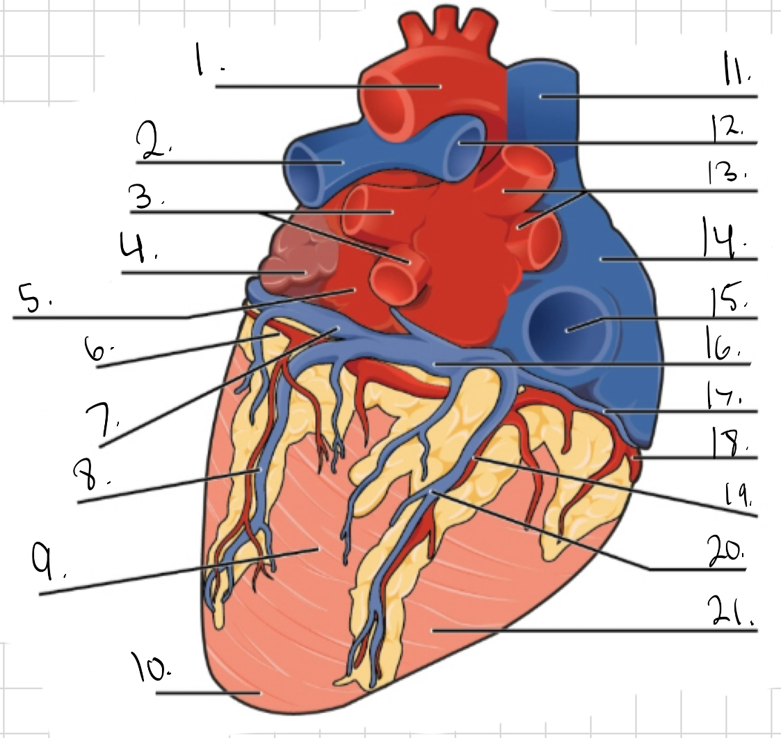<p>Identity #4 on this image.</p>