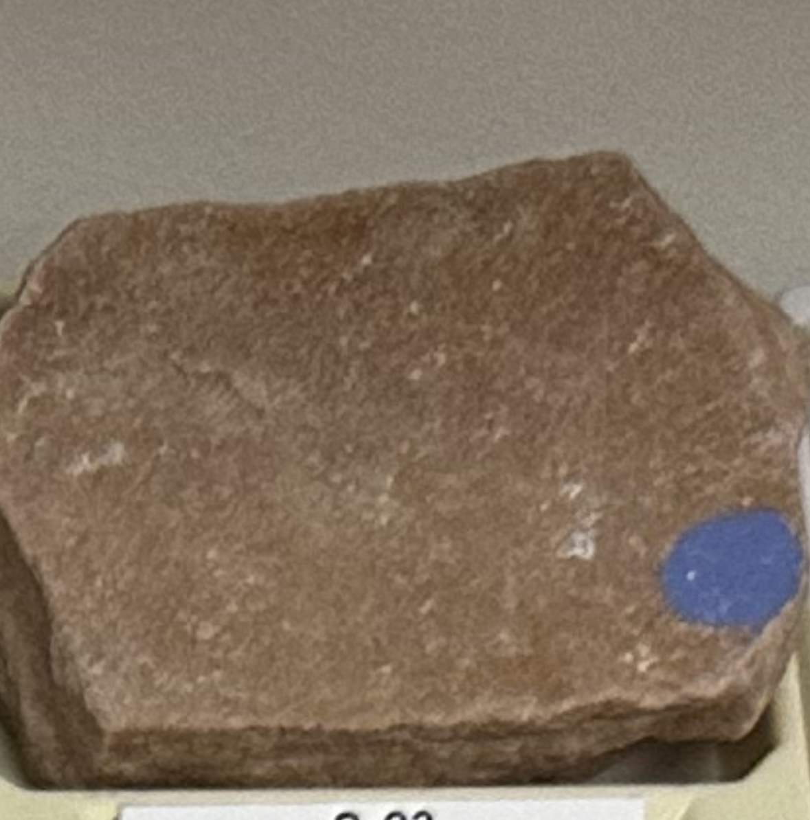 <p><strong><u>CLASTIC/DETRITAL</u></strong></p><p><strong>GRAIN:</strong></p><p>size— 1/16mm - 2mm, shape— gritty/sandy, sorting— well-sorted</p><p><strong>HCI: </strong>NO reaction</p><p><strong>CEMENT:</strong> quartz</p><p><strong>ENVIRONMENT:</strong> continental (river/stream channel)</p><p><strong>POROUS:</strong> yes</p><p><strong>MINERAL(S): </strong>quartz, feldspar, rock and/or clay fragments<br><strong>OTHER:</strong> asymmetrical ripplemarks</p>