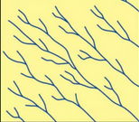 <p>drainage pattern?</p>