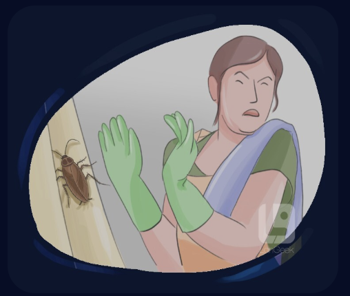 <ol><li><p>Very bad, unpleasant, or unkind. </p></li></ol><p>(<strong>Khó chịu, kinh tởm, xấu tính, hiểm ác</strong>)</p><ol start="2"><li><p></p></li></ol><p><strong>(Khen một kỹ năng gì đó "đỉnh" đến mức đáng sợ)</strong></p><p>Dạng liên quan:</p><ul><li><p><strong>Nastiness</strong> (n): Sự xấu xa, sự bẩn thỉu.</p></li></ul><p>Ngữ cảnh:</p><ul><li><p><strong>Đời sống:</strong> Mùi hôi, thức ăn hỏng. </p></li><li><p><strong>Giao tiếp:</strong> Khi ai đó nói lời mỉa mai, xúc phạm. </p></li><li><p><strong>Y tế:</strong> Một vết cắt sâu (<strong>a nasty cut</strong>).</p></li></ul><p></p>