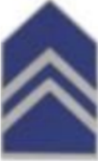 <p>Two chevrons&nbsp;</p>